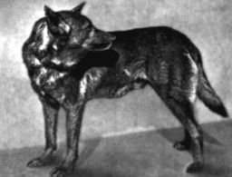 HORAND v. GRAFRATH
